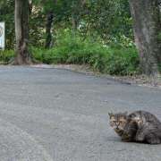 ヒメ日記 2025/07/11 17:22 投稿 土田 MadameRest(マダムレスト)