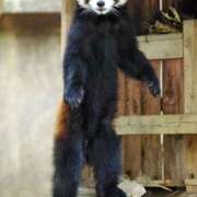 ヒメ日記 2025/07/31 09:35 投稿 土田 MadameRest(マダムレスト)