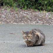 ヒメ日記 2025/08/29 15:10 投稿 土田 MadameRest(マダムレスト)