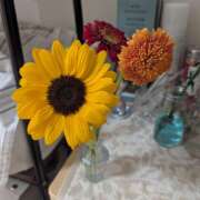 ヒメ日記 2025/09/20 13:48 投稿 土田 MadameRest(マダムレスト)