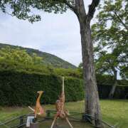 ヒメ日記 2025/09/27 10:05 投稿 土田 MadameRest(マダムレスト)