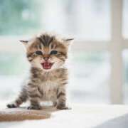 ヒメ日記 2025/11/20 16:27 投稿 土田 MadameRest(マダムレスト)