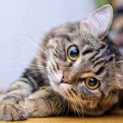 ヒメ日記 2025/11/22 06:15 投稿 土田 MadameRest(マダムレスト)