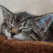 ヒメ日記 2025/11/23 05:10 投稿 土田 MadameRest(マダムレスト)