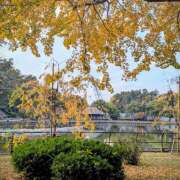 ヒメ日記 2025/11/24 10:30 投稿 土田 MadameRest(マダムレスト)