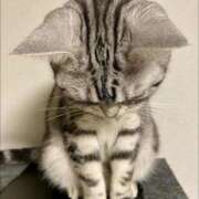 ヒメ日記 2025/11/24 16:54 投稿 土田 MadameRest(マダムレスト)