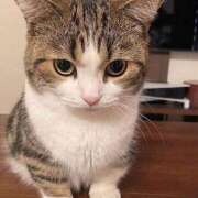 ヒメ日記 2025/11/25 17:07 投稿 土田 MadameRest(マダムレスト)