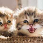 ヒメ日記 2025/11/26 17:09 投稿 土田 MadameRest(マダムレスト)