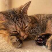 ヒメ日記 2025/11/27 16:49 投稿 土田 MadameRest(マダムレスト)