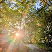 ヒメ日記 2025/11/28 15:52 投稿 土田 MadameRest(マダムレスト)