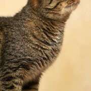 ヒメ日記 2025/11/29 12:29 投稿 土田 MadameRest(マダムレスト)