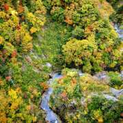 ヒメ日記 2025/12/05 13:17 投稿 土田 MadameRest(マダムレスト)