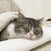 土田 本日夕方から出勤です🐾 MadameRest(マダムレスト)