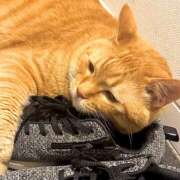 土田 出勤しました🐾 MadameRest(マダムレスト)