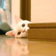 土田 出勤しました🐾 MadameRest(マダムレスト)