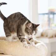 ヒメ日記 2025/12/15 16:50 投稿 土田 MadameRest(マダムレスト)