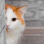 ヒメ日記 2025/12/16 17:40 投稿 土田 MadameRest(マダムレスト)