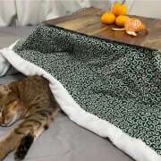 ヒメ日記 2025/12/27 11:35 投稿 土田 MadameRest(マダムレスト)