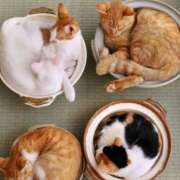 ヒメ日記 2025/12/28 10:59 投稿 土田 MadameRest(マダムレスト)