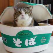 ヒメ日記 2025/12/31 15:18 投稿 土田 MadameRest(マダムレスト)