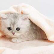 土田 本日朝から出勤です🐾 MadameRest(マダムレスト)