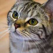 ヒメ日記 2026/01/16 16:48 投稿 土田 MadameRest(マダムレスト)