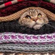 土田 本日夕方から出勤です🐾 MadameRest(マダムレスト)