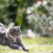 ヒメ日記 2026/02/10 05:53 投稿 土田 MadameRest(マダムレスト)