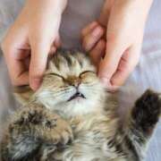 ヒメ日記 2026/02/14 16:53 投稿 土田 MadameRest(マダムレスト)