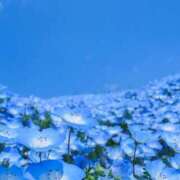 ヒメ日記 2025/04/07 22:06 投稿 ぽむ 柏人妻花壇