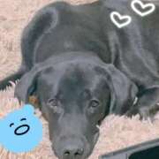 ヒメ日記 2025/10/09 22:08 投稿 ぽむ 柏人妻花壇