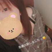 ヒメ日記 2025/10/27 22:13 投稿 ぽむ 柏人妻花壇