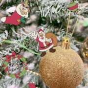 ヒメ日記 2025/12/01 22:23 投稿 ぽむ 柏人妻花壇