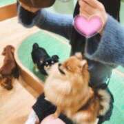 ヒメ日記 2025/04/09 07:37 投稿 あお フォーチュン