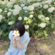 ヒメ日記 2025/06/17 07:45 投稿 あお フォーチュン