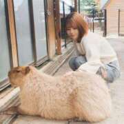 ヒメ日記 2025/10/03 11:00 投稿 あお フォーチュン