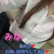 ヒメ日記 2025/11/11 16:43 投稿 みな オフィスアロマ