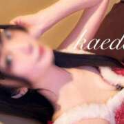 ヒメ日記 2024/12/25 19:21 投稿 カエデ ソープランドMAX‐マックス- 浅草店