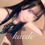 ヒメ日記 2025/02/24 08:46 投稿 カエデ ソープランドMAX‐マックス- 浅草店