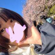 ヒメ日記 2025/04/12 02:47 投稿 ミツリ【♥名器を体験されたし♥】 ドＭなバニーちゃん小倉店