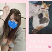 ヒメ日記 2025/05/18 22:12 投稿 らいち 横浜パフパフチェリーパイ