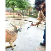 ヒメ日記 2025/10/02 17:42 投稿 らいち 横浜パフパフチェリーパイ