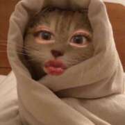 ヒメ日記 2025/02/09 12:19 投稿 カンナ キャンディ(鹿児島)