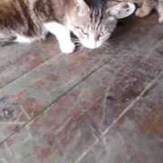 ヒメ日記 2025/05/28 22:47 投稿 つむぎ 久留米デリヘルセンター