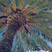 ヒメ日記 2025/06/30 22:28 投稿 つむぎ 久留米デリヘルセンター