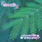 ヒメ日記 2025/07/02 02:46 投稿 つむぎ 久留米デリヘルセンター