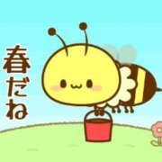 ヒメ日記 2025/03/26 10:31 投稿 まる レンタDEピンサロ 錦糸町店