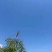 ヒメ日記 2025/06/05 10:43 投稿 まる レンタDEピンサロ 錦糸町店