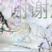 ヒメ日記 2026/01/28 19:50 投稿 まりん 出張メンズエステ TORICO SPA 高知店