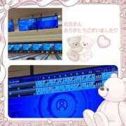 ヒメ日記 2026/06/10 09:51 投稿 まりん 出張メンズエステ TORICO SPA 高知店